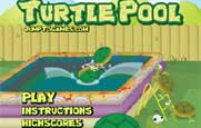 Turtle Pool