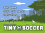 Tiny Soccer