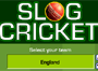 Slog Cricket